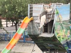 -北京鹿世界主题园