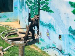 -西霞口神雕山野生动物世界