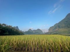 -靖西鹅泉风景区