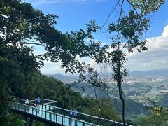 -黄埔油麻山森林公园