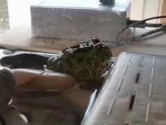 -Rabbit Cafe私房西餐甜点咖啡(栖霞路店)