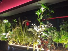 -沪小胖·小龙虾·蓝龙王(八佰伴店)