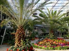 -北京植物园-展览温室