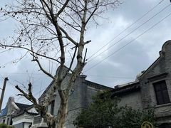 -川沙古镇-停车场