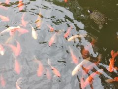 -大连植物园