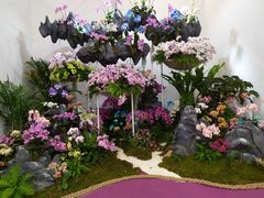 -上海鲜花港