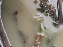 桑叶鲫鱼汤-鹅城