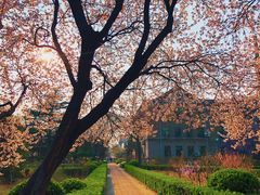 -山东师范大学(千佛山校区)