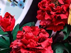 -莱阳濯村樱花园