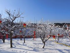 -蓟洲国际滑雪场