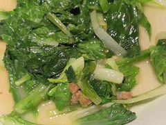 -鸽子侯·家宴·平价海鲜(绿地店)