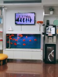 -圣瑞医疗上海圣恩儿科门诊部