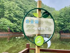 -洛阳白云山景区