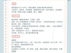 -武汉长江大桥