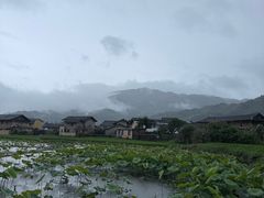 -福建土楼(南靖)景区