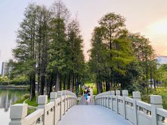 -四海公园(南山区)