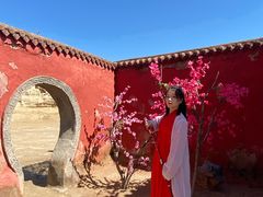 -镇北堡西部影城