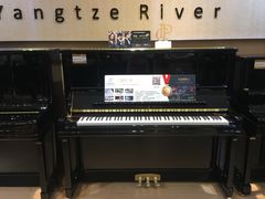 -柏斯琴行(汾阳店)