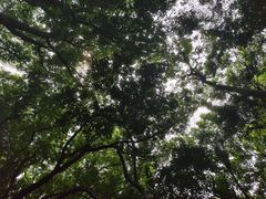 -汇龙潭