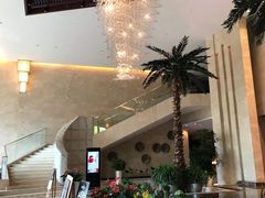 -常州环球恐龙城维景国际大酒店