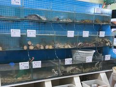 -宾朋海鲜特色美食餐厅·纯手工鲅鱼水饺(兴海路店)