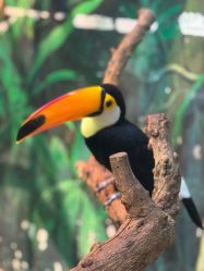 -Zoolung Zoolung动物主题公园(海信广场店)