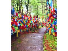 -康定跑马山风景区