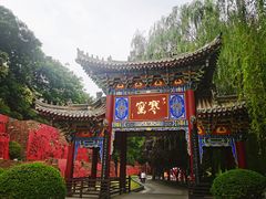 -西安曲江寒窑遗址公园