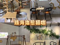 -豆逗聊愈猫阁Easy Life