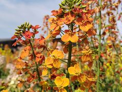 -中国天府农业博览园