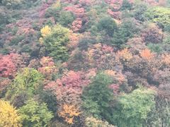 -少华山国家森林公园