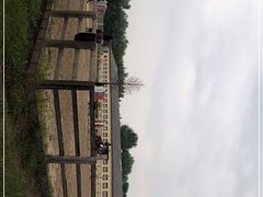 -北京群众马术培训基地