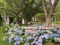 -上海市总工会沪东工人文化宫