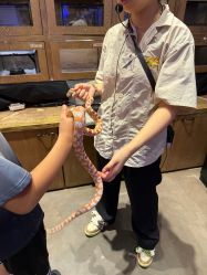 -Zoolung Zoolung动物主题公园(海信广场店)