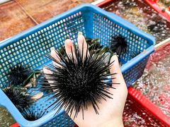 -南蚝小贝海鲜特色餐厅(南澳岛店)