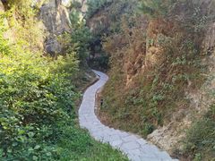 -彩色沙林风景区