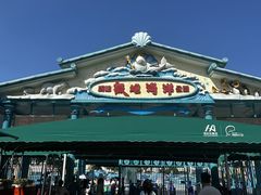 -海合安成都极地海洋公园