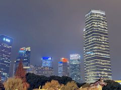 -陆家嘴中心绿地