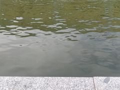 -DGE季风钓虾营地·团建·聚会