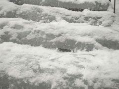 -青峰峡国家森林公园