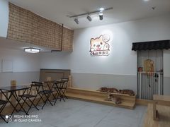 -柴源莊·柴小宠柴犬咖啡