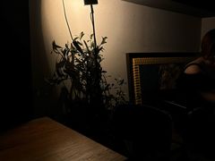 -ibarrel爱杯·bistro&brunch(江宁路店)