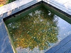 -三江森林温泉度假区