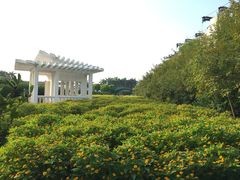 -广州花之恋城堡酒店