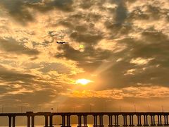 -宝安西湾红树林湿地公园