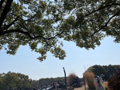 -上海吴淞炮台湾国家湿地公园