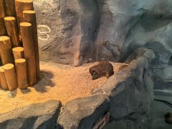 -Zoolung Zoolung动物主题公园(海信广场店)