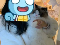 -滚猫咖啡·猫咖·猫友好撸猫(未来城店)