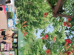 -郑州方特水上乐园