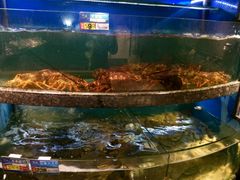 -宁波汉通海鲜大酒店(江湾店)